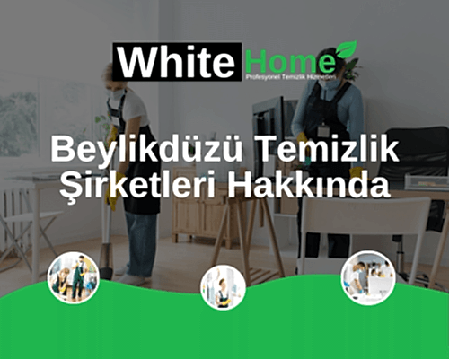 Beylikdüzü Temizlik Şirketleri Hakkında