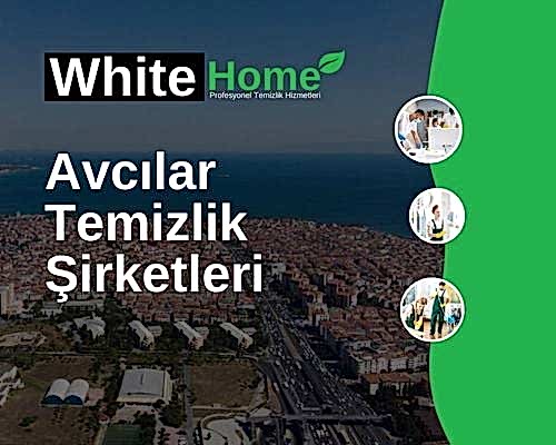 Avcılar Temizlik Şirketleri