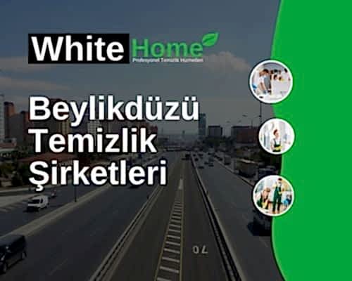 Beylikdüzü Temizlik Şirketleri