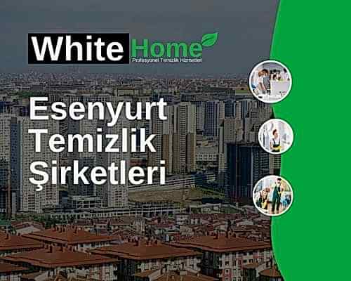 Esenyurt Temizlik Şirketleri